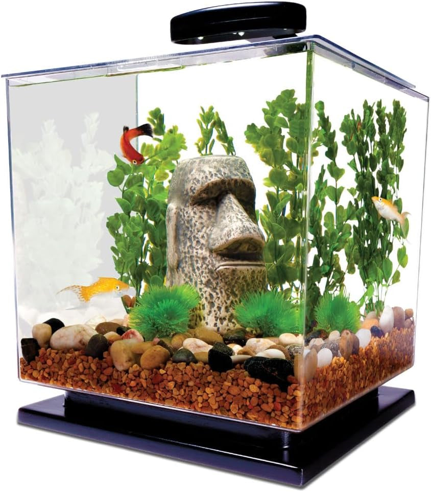 3 Gallon Aquarium Tank