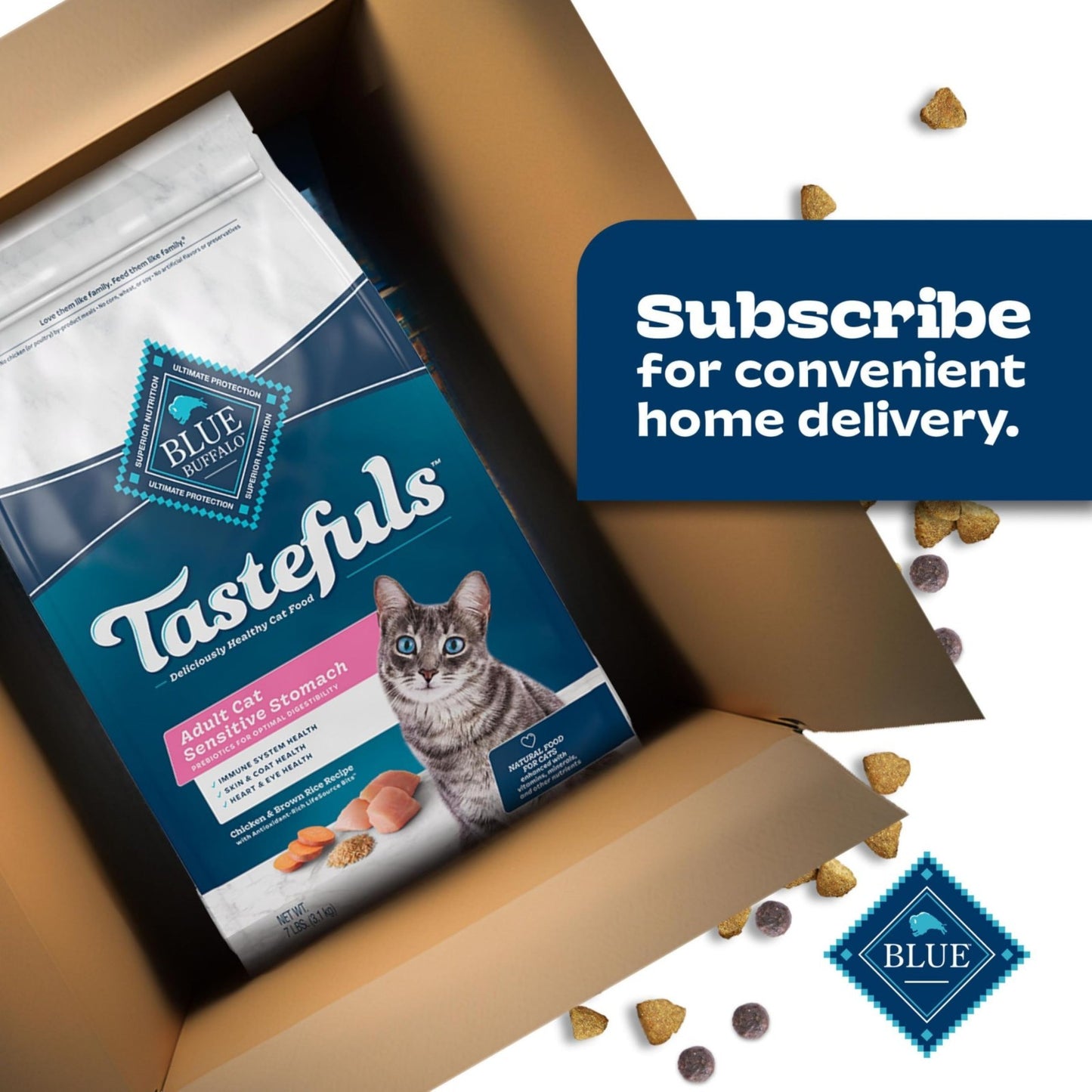 Sensitive Stomach Dry Cat Food, Chicken Flavor, 3 lb Adult Formula, Grain Free10