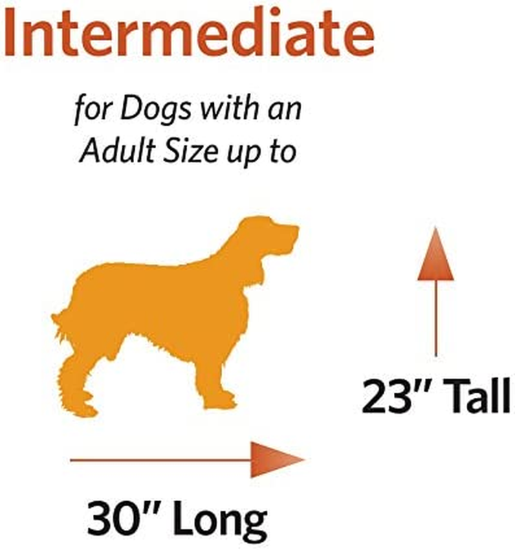 36" iCrate Folding Dog Crate w/ Divider Leak Proof Tray Metal Wire Kennel10