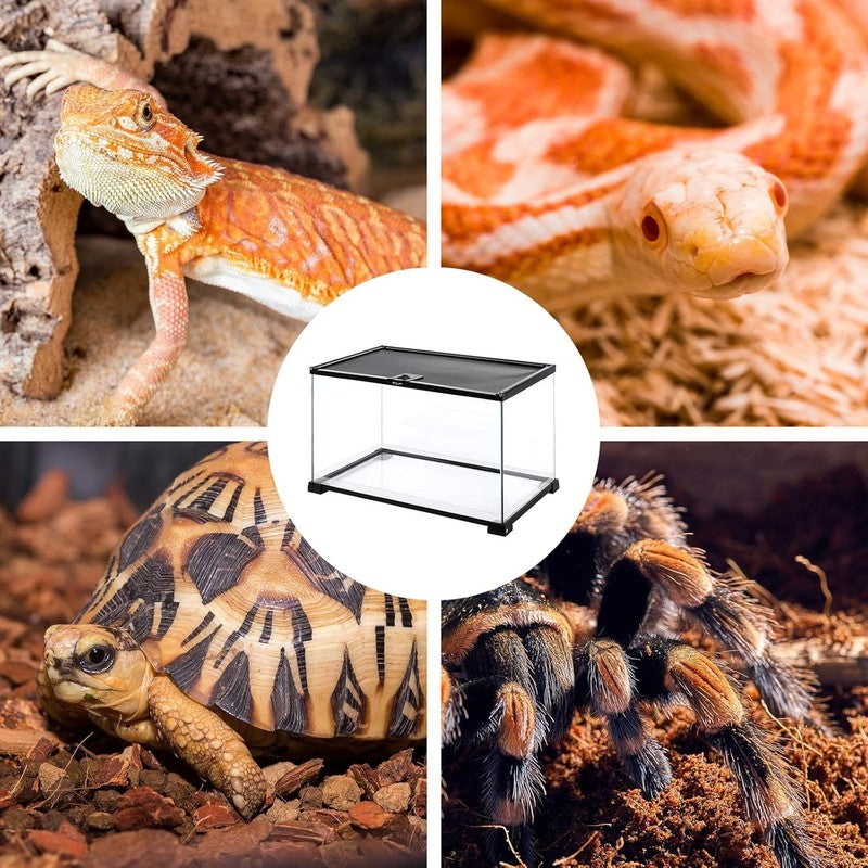 15 Gal Glass Reptile Tank Medium Terrarium w/ Top Screen Vent for Gecko Snake6