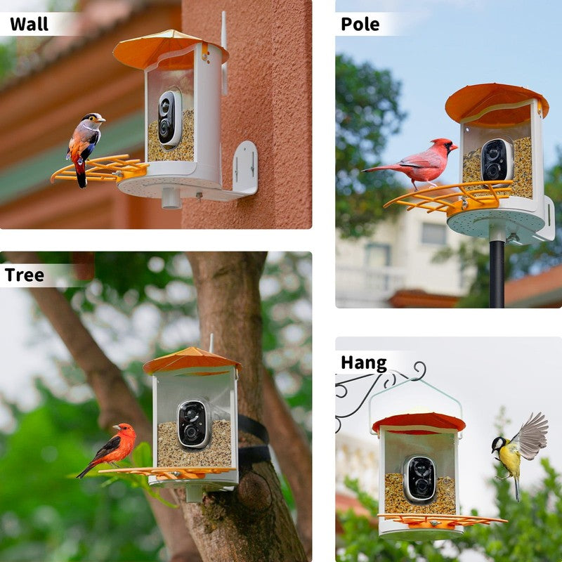 Smart Bird Feeder w Camera Metal Squirrel-Proof AI ID Solar Panels Orange3