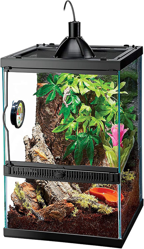 11 Gal Glass Tropical Vertical Habitat for Small Reptiles & Amphibians9