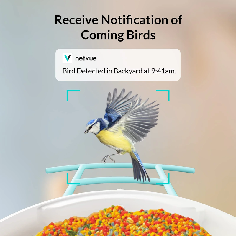 Bird Camera Smart Bird Feeder Camera w Solar Panel for Outdoor Bird Watching4