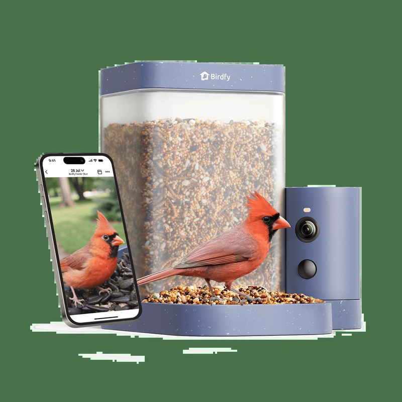 Smart Bird Feeder with Camera, 60FPS Smooth Video, AI Bird Identification & Inst0