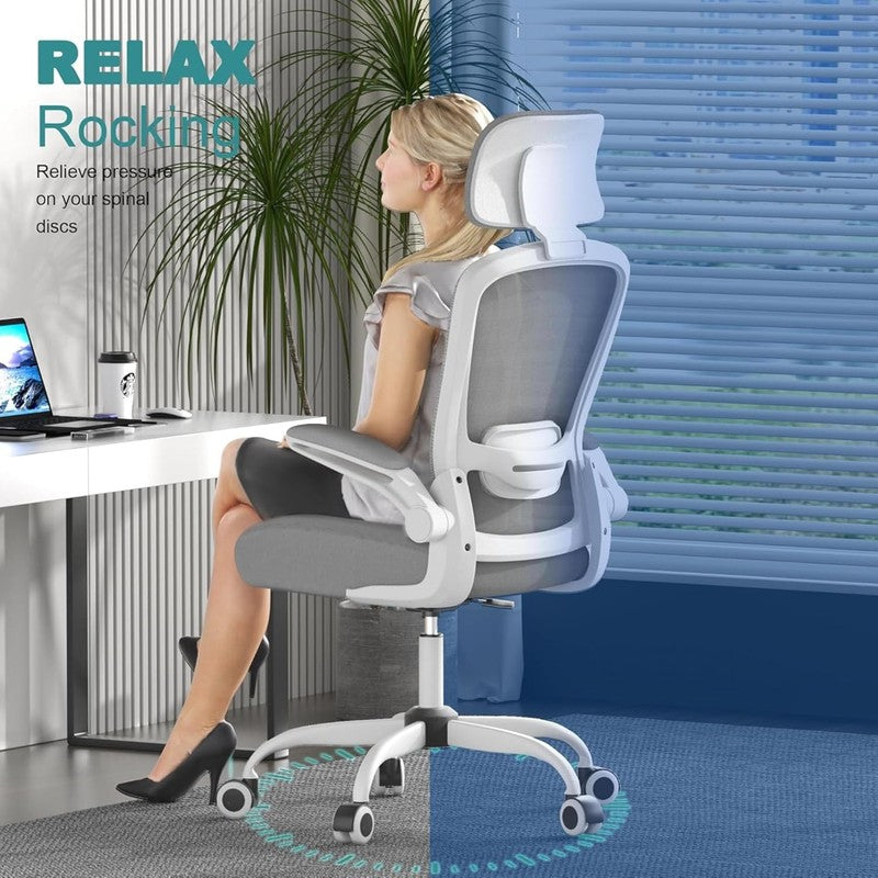Office Chair, High Back Ergonomic Desk Chair with Adjustable Lumbar Support and 5