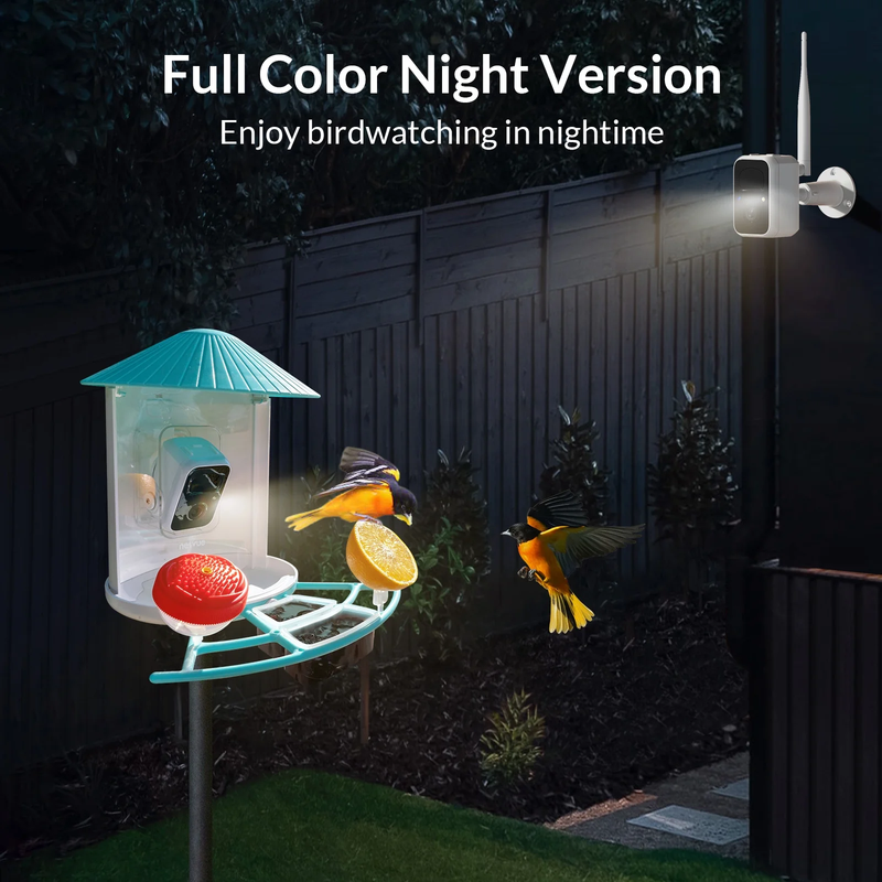 Bird Camera Smart Bird Feeder Camera w Solar Panel for Outdoor Bird Watching5