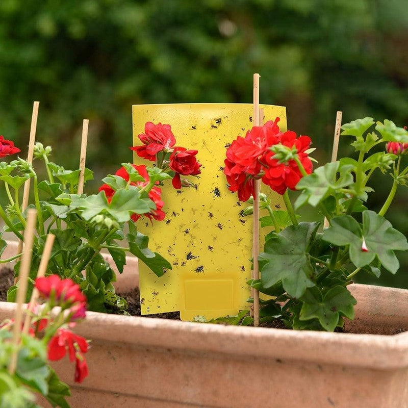 20-Pack Yellow Sticky Traps for Flying Insects - 6x8 Inches with Twist Ties4