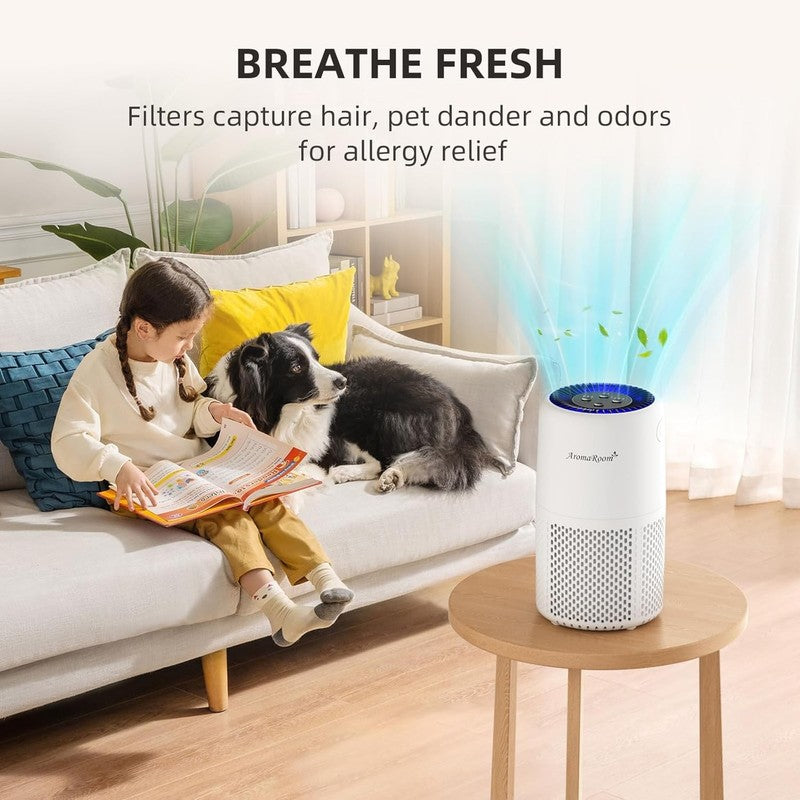 Air Purifier AP103 White H13 HEPA Filter Sleep Mode for Home Pets Baby7