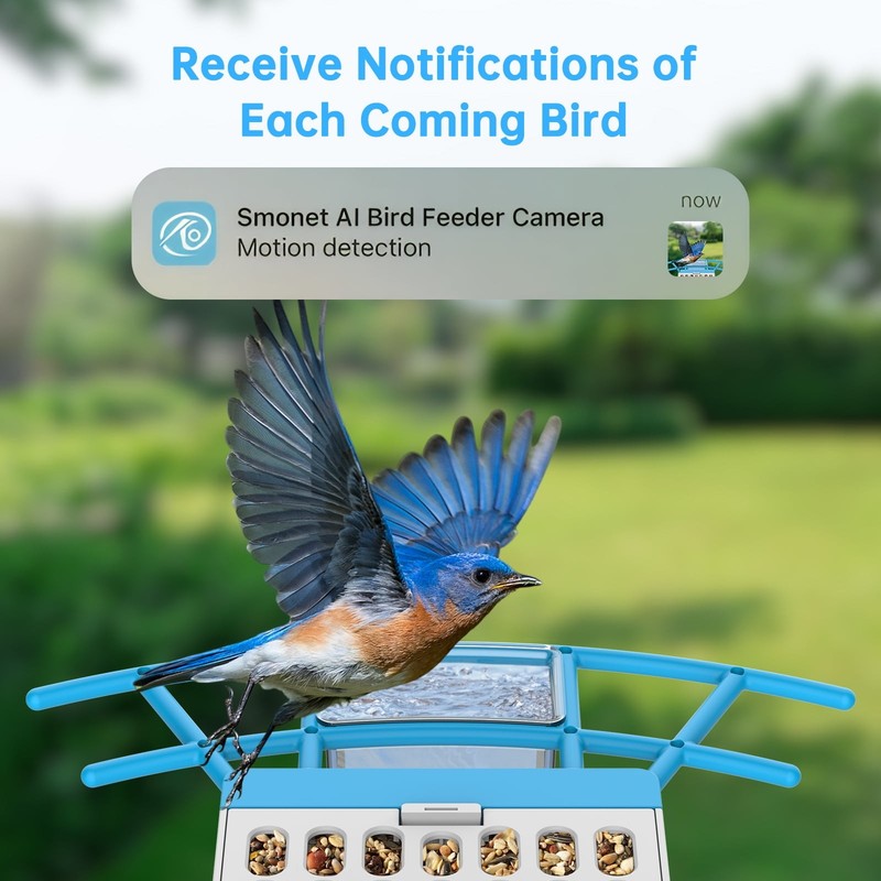 Smart Bird Feeder with Camera: Solar Powered Birdhouse with AI Recognition, Wire2
