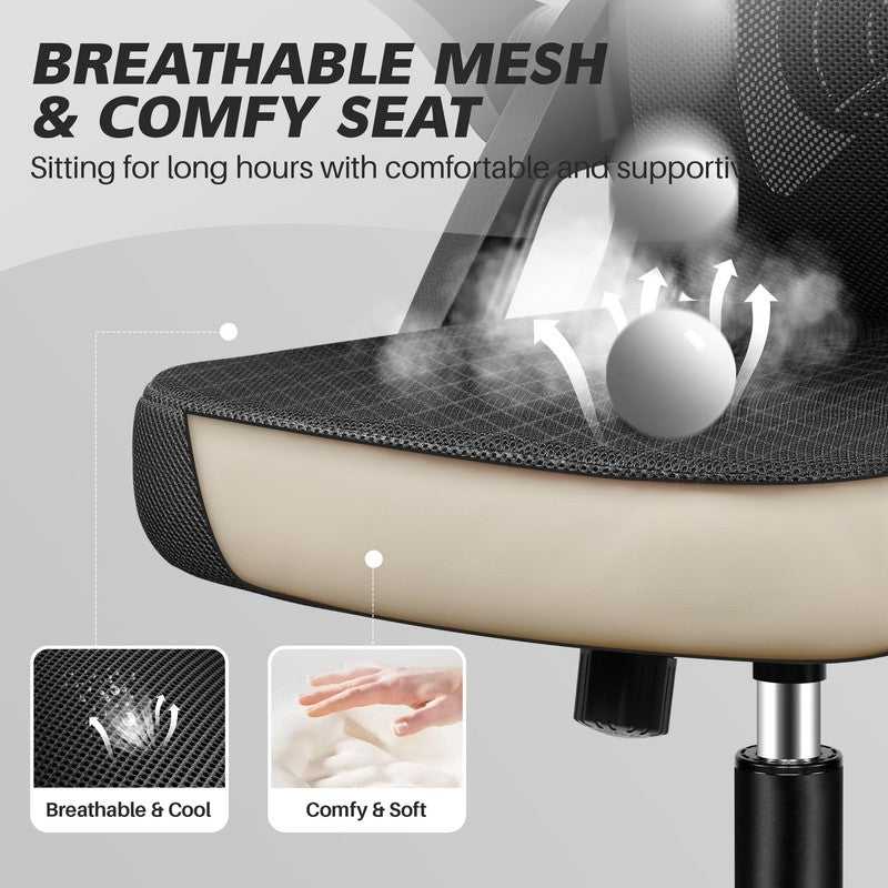 Office Chair, 300LBS Ergonomic Desk Chair with Adjustable Lumbar Support, Mesh C5