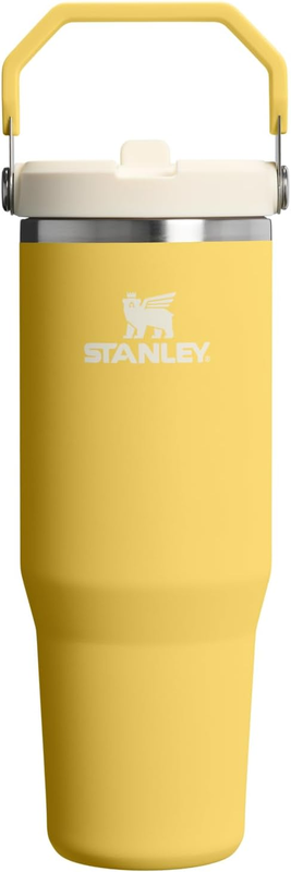 30oz Flip Straw Tumbler Stainless Steel Insulated Leakproof Handle Daffodil10