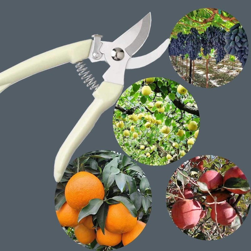 Premium 3CR13 Garden Shears for Pruning, Picking & Floristry - White2