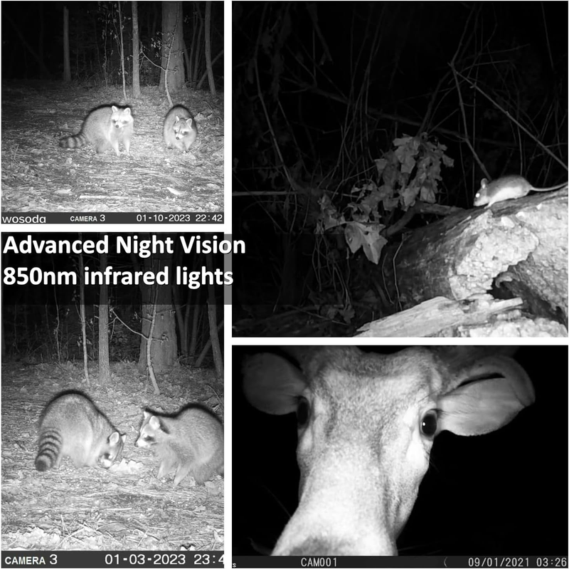 2 Pack 30MP Trail Cameras 1080P Night Vision Motion IP66 SD Card Wildlife Cam2