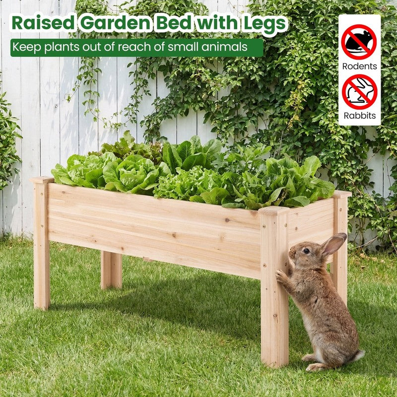 Raised Garden Bed Elevated Planter Box Wood for Vegetable Flower Herb7