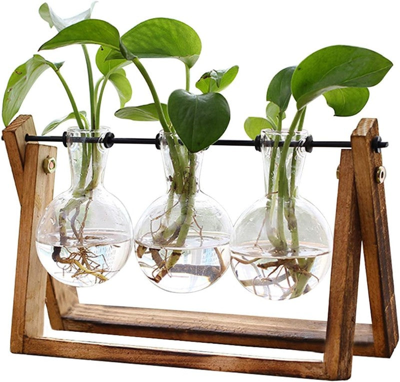 Plant Terrarium with Wooden Stand, Air Planter Bulb Glass Vase Metal Swivel Hold1