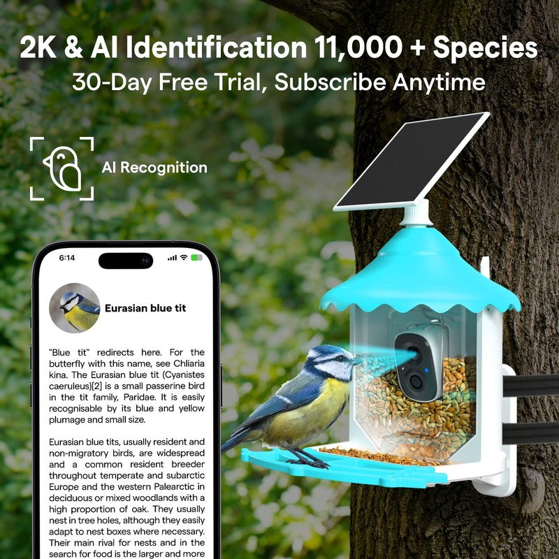 Solar Smart Bird Feeder w AI Camera Squirrel Deterrent Bird Songs Recognition6