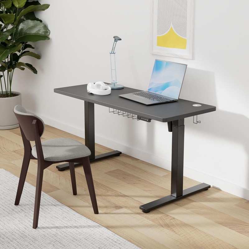 Electric Standing Desk 48x24 Sit Stand Adjustable Desk w/ Memory Presets1