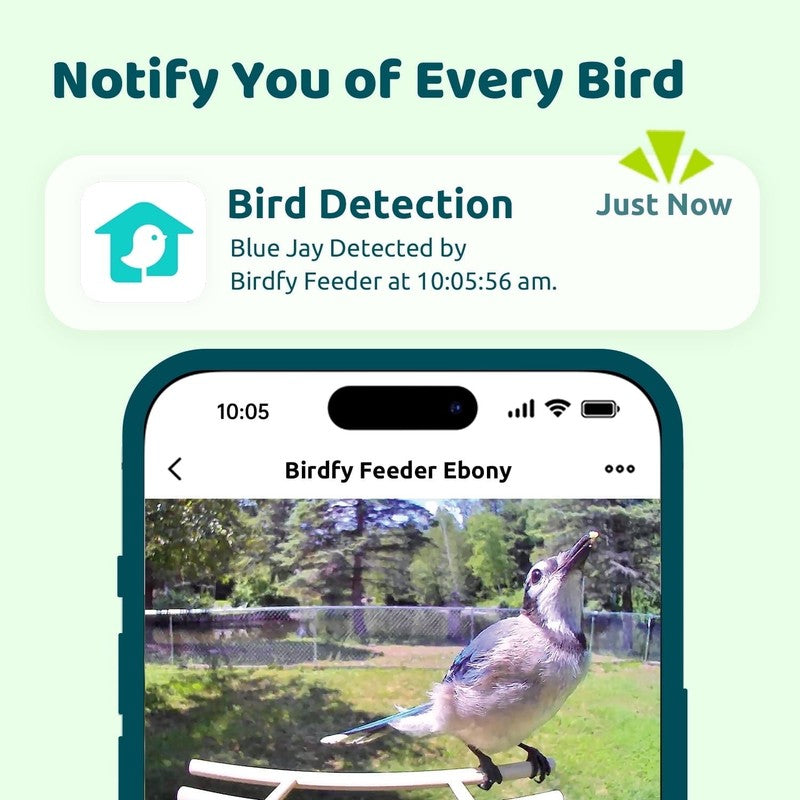 Smart Wooden Bird Feeder w/ Camera & Solar, AI ID 6000+ Species, Ebony2