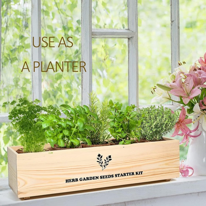 5 Herb Seeds Garden Starter Kit with Complete Planting Kit & Wooden Flower Box, 2