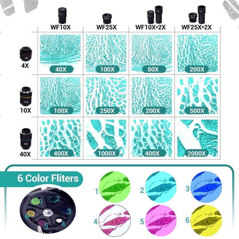 Compound Microscope 40X–2000X for Students Kids Adults + Slides & Adapter1