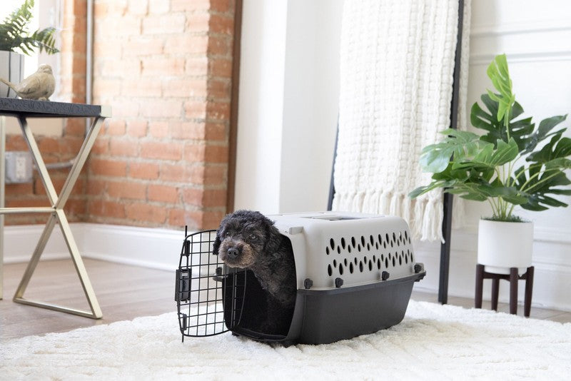 Pet Portable Kennel for Dogs, Hard-Sided Travel Carrier, Durable, Metal Door, Bl1