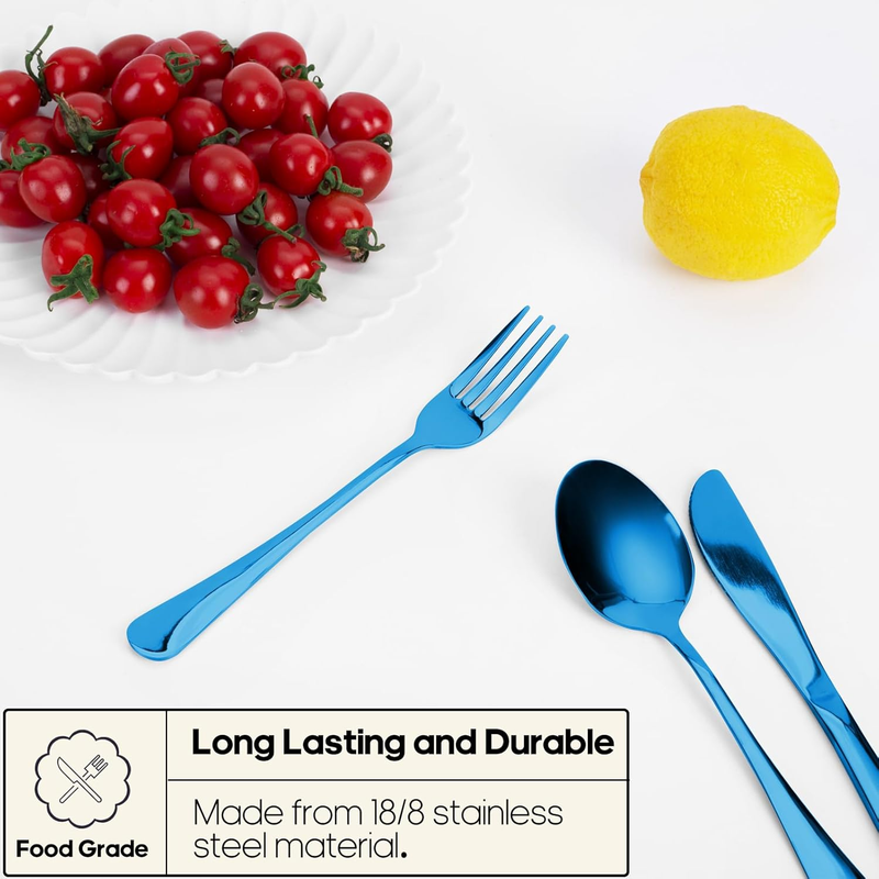 Reusable Travel Utensils Set Fork Spoon Stainless Steel with Case Blue1