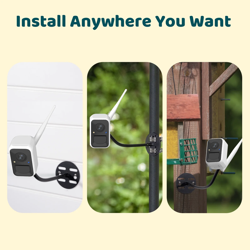 Bird Camera Smart Bird Feeder Camera w Solar Panel for Outdoor Bird Watching9