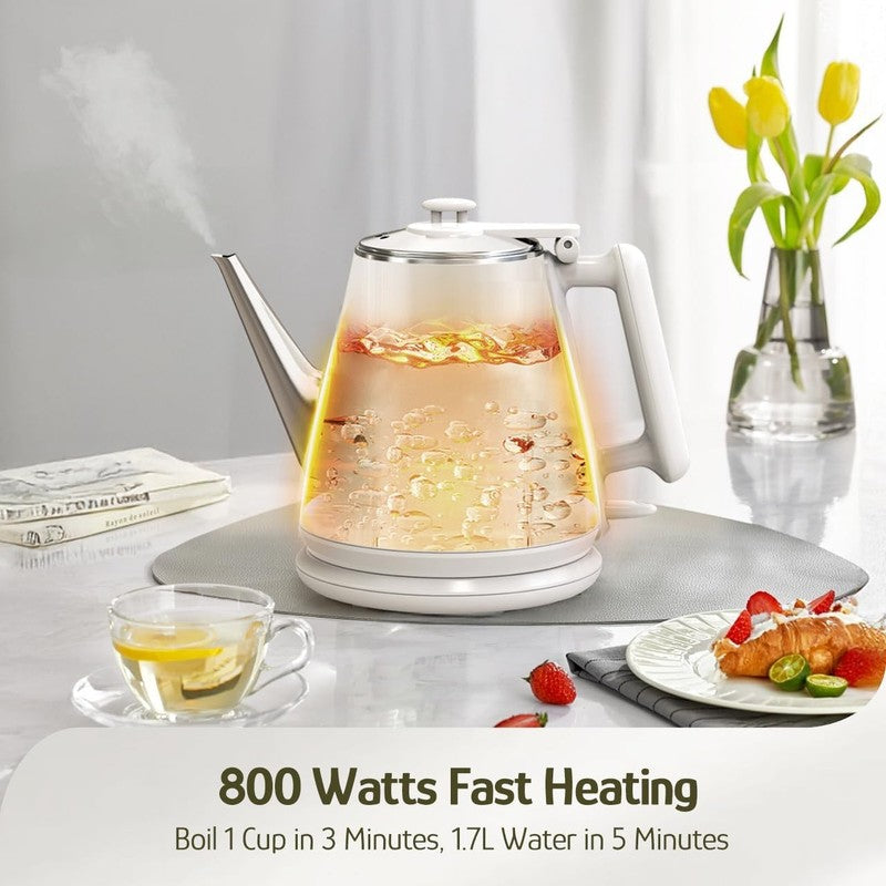 Electric Kettle 1L 800W Stainless Steel Cordless Double Wall Pearl White2