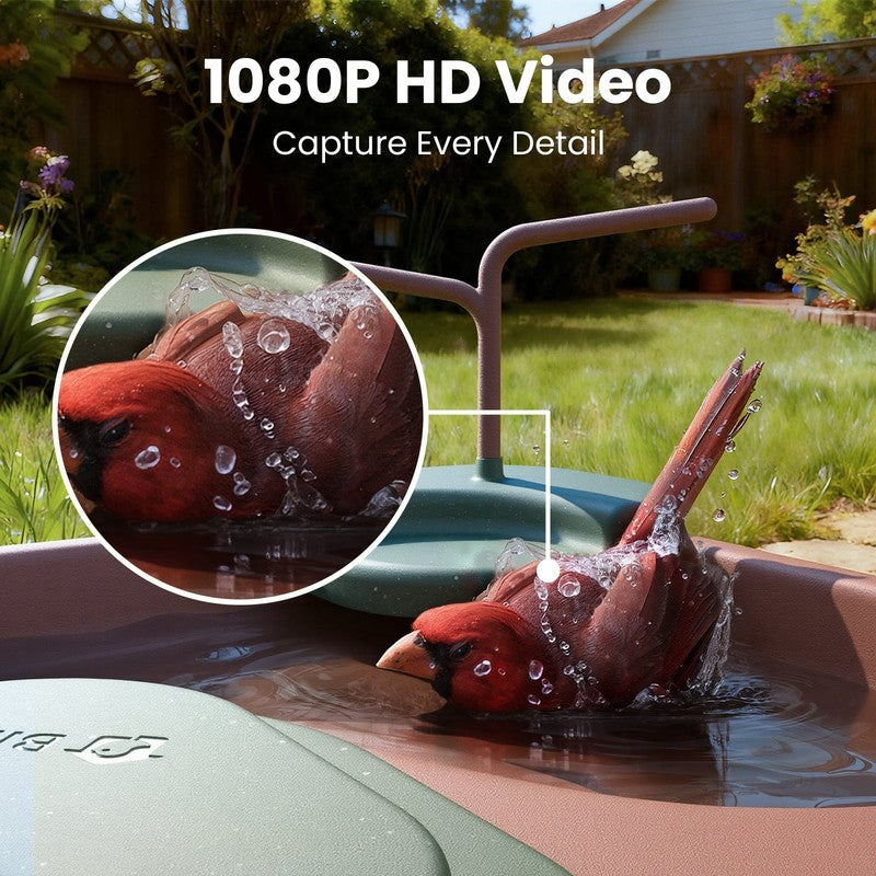 Smart Bird Bath with Camera Solar Powered, AI Identify, Live View, Instant Notif2