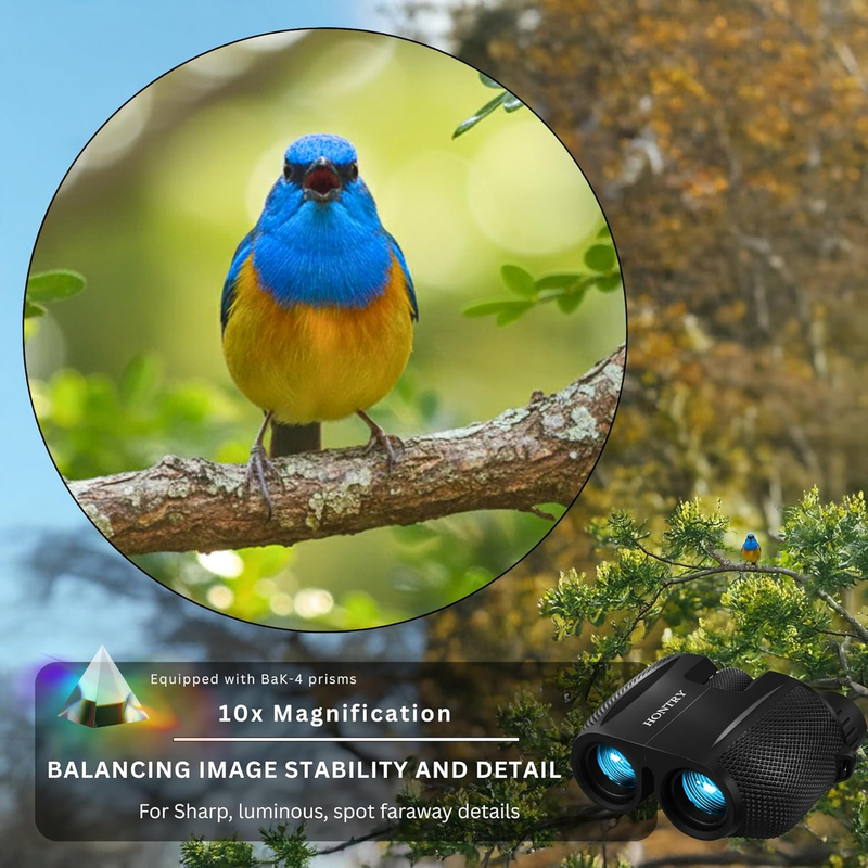 10x25 Compact Binoculars Adults Kids Bird Watching Hunting Concerts2