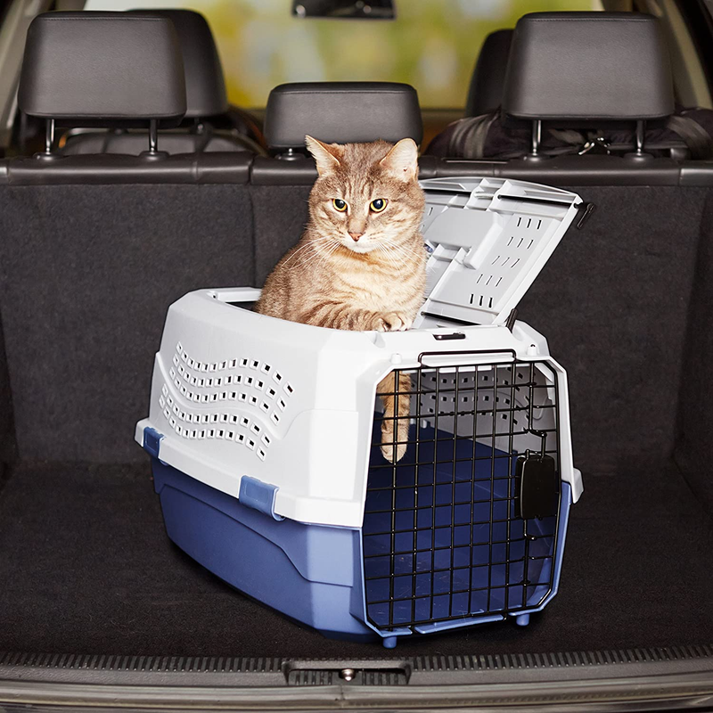 2 Door Hard Sided Pet Travel Carrier for Dogs & Cats Gray Blue 22.8"L x 15"W8