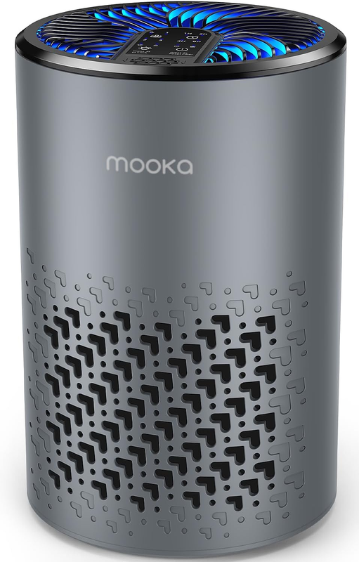 Air Purifier for Bedroom Home Pets w/ Fragrance Sponge Smoke Dust Odor Grey10