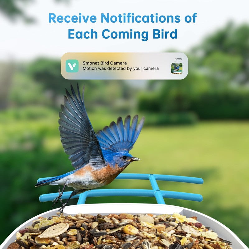 Smart Bird Feeder with Camera-2L Solar Bird House with Camera-Ai Recognition Bir6