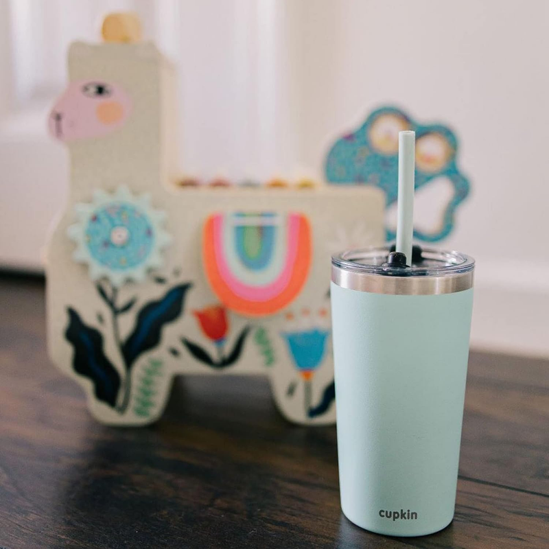 20oz Stainless Steel Tumbler Set 2 Travel Coffee Mug with Lid Straw6