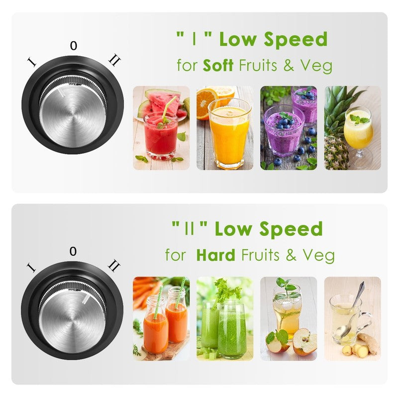 400 W 25 Oz 2 Speed Masticating Juicer, Silver6