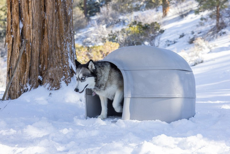 Igloo Dog House, Heavy Duty Durable Plastic, Outdoor Use, Leak-Resistant, Gray,11
