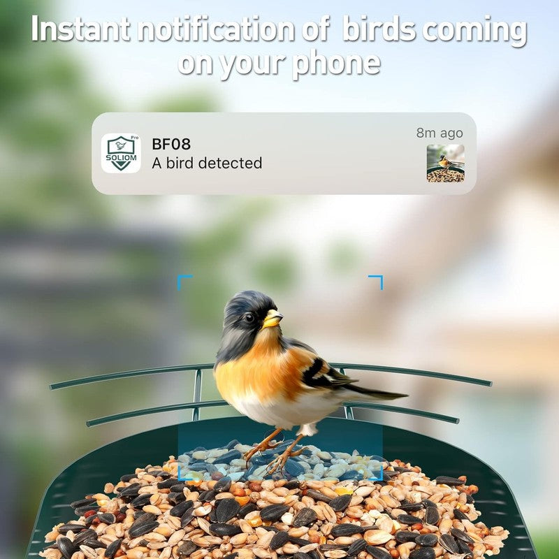 BF08 AI Identify Species Metal Bird Feeder Camera with 5W Solar Panel, Green2