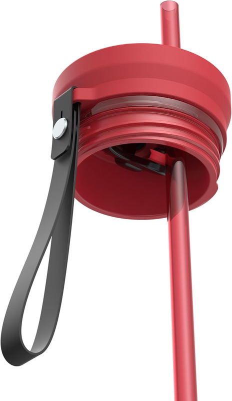 Snapseal 24oz Stainless Steel Vacuum Insulated Autoclose Lid Straw Carry Strap4