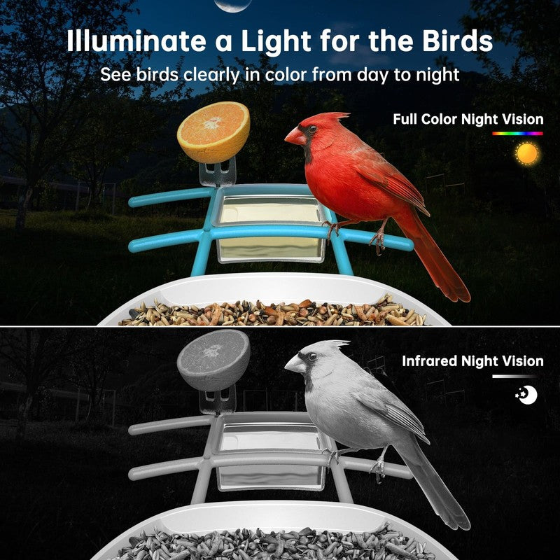 Smart Bird Feeder with Camera-2L Solar Bird House with Camera-Ai Recognition Bir1