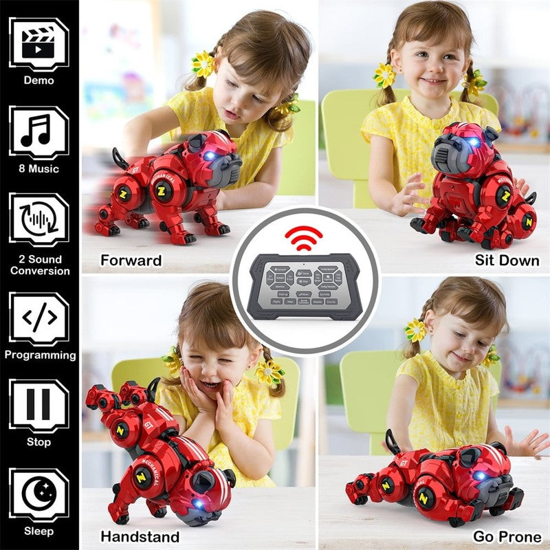 Remote Control Robot Rechargeable Programing Stunt with Sing, Dance, Touch Funct4