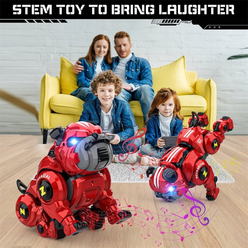 Remote Control Robot Rechargeable Programing Stunt with Sing, Dance, Touch Funct5