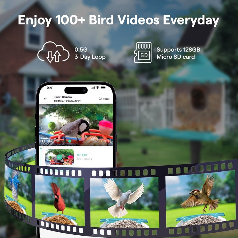 Solar Smart Bird Feeder w AI Camera Squirrel Deterrent Bird Songs Recognition8