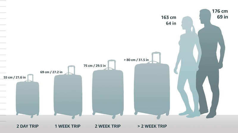 28" Hardside Expandable Luggage Spinner Wheels Checked Suitcase Teal1