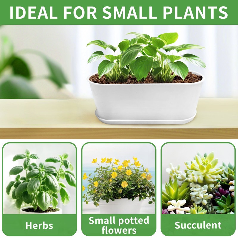 5-Pack Window Herb Planter Boxes w/ Drainage & Trays – Indoor Garden Pots3