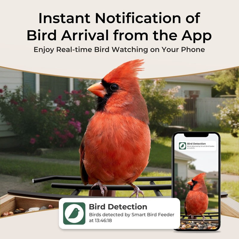 Smart Cedar Wood Bird Feeder w/ Camera, Solar, AI ID 10,000+ Birds1