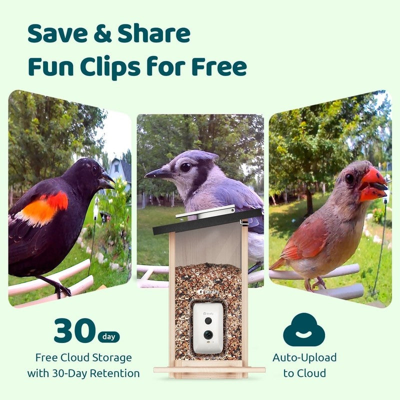Smart Wooden Bird Feeder w/ Camera & Solar, AI ID 6000+ Species, Ebony4