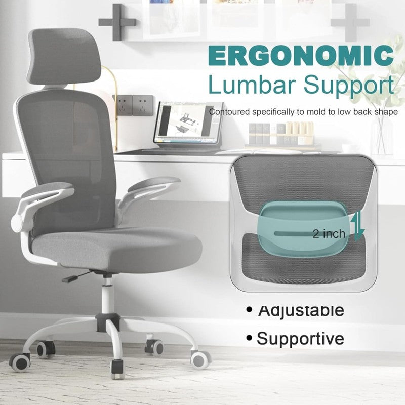 Office Chair, High Back Ergonomic Desk Chair with Adjustable Lumbar Support and 2