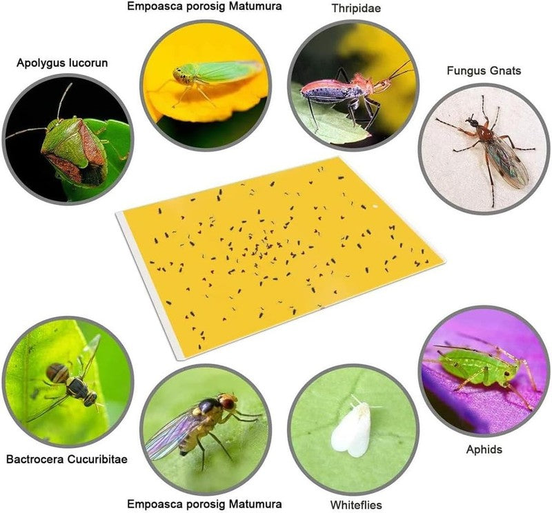 20-Pack Yellow Sticky Traps for Flying Insects - 6x8 Inches with Twist Ties3