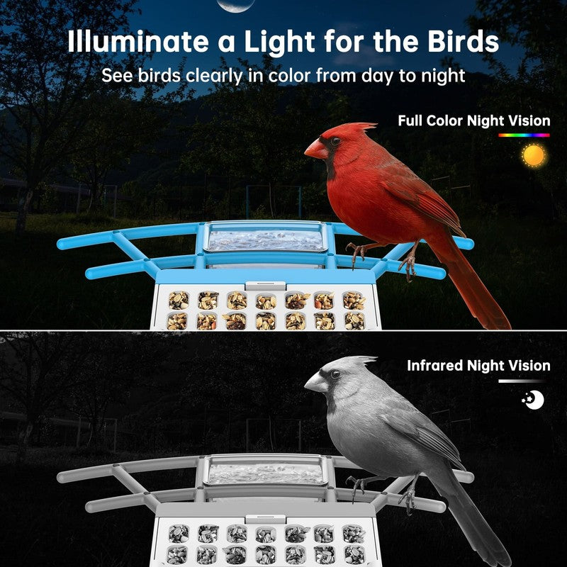 Smart Bird Feeder with Camera: Solar Powered Birdhouse with AI Recognition, Wire1