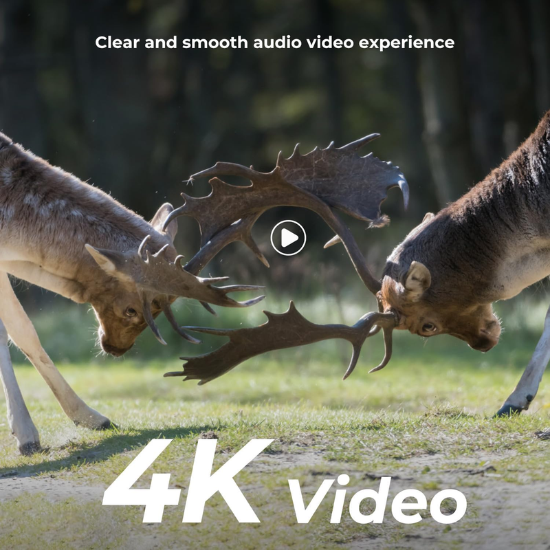 4K 48MP Trail Camera No-Glow Night Vision 0.1S Trigger 120° IP66 LCD Cam1